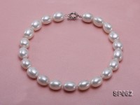 Elegant white seashell pearl necklace with gilded clasp