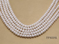 Wholesale 7x9mm White Flat Freshwater Pearl String