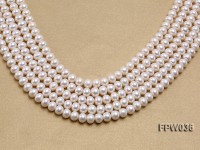 Wholesale High-quality 8.5x10mm White Flat Freshwater Pearl String