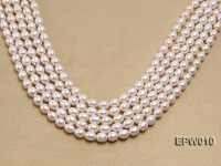 wholesale 8.5×9.5mm white elliptical freshwater pearl strings