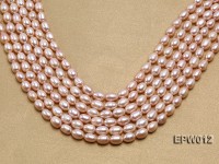 Wholesale 7.5X10.5mm Natural Pink Rice-shaped Freshwater Pearl String