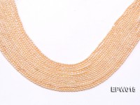 Wholesale 2.5x3mm  Rice-shaped Freshwater Pearl String