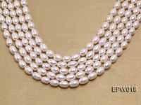 Wholesale 8.5X13mm Classic White Rice-shaped Freshwater Pearl String