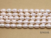 Wholesale 8.5X13mm Classic White Rice-shaped Freshwater Pearl String