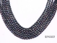 Wholesale 5.5X6.5mm Black Rice-shaped Freshwater Pearl String