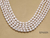 Wholesale 8X9mm Classic White Rice-shaped Freshwater Pearl String