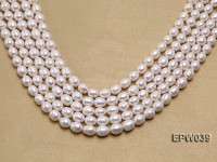 Wholesale 7-8mm Classic White Rice-shaped Freshwater Pearl String