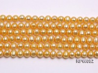 Wholesale 7mm Golden Round Freshwater Pearl String
