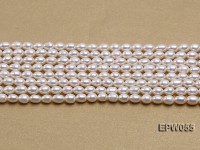 Wholesale 5.5×7.5mm Classic White Rice-shaped Freshwater Pearl String