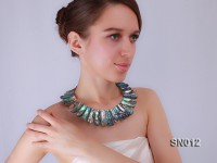 Irregular Colorful Abalone Shell Pieces Necklace