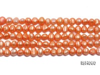 Wholesale 7x9mm Orange Flat Cultured Freshwater Pearl String