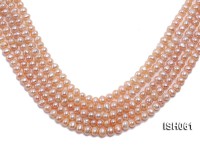 Wholesale 6x8mm Pink  Flat Freshwater Pearl String