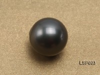 Wholesale 12mm Black Round Seashell Pearl Bead