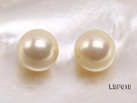 Wholesale 12.5mm Yellow Round Seashell Pearl Bead
