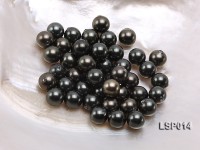 Wholesale 10-10.5mm Black Round Seashell Pearl Bead