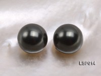Wholesale 10-10.5mm Black Round Seashell Pearl Bead