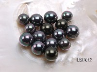 Wholesale 16.5-17mm Black Round Seashell Pearl Beads