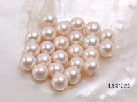 Wholesale 10-11mm White Round Seashell Pearl Bead