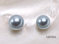 Wholesale 10-12.5mm Light Blue Round Seashell Pearl Bead