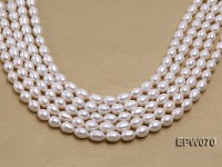 Wholesale 9x12mm Classic White Rice-shaped Freshwater Pearl String