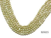 Wholesale 5x7mm Light Green Flat  Freshwater Pearl String