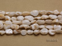 Wholesale 11x14mm White Irregular Seashell String