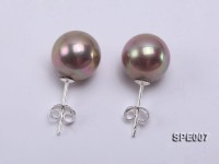 10mm champagne round seashell pearl earrings in 925 sterling silver