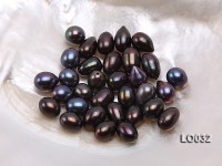 Wholesale 10.5×13-11x14mm Black Drop-shaped Loose Freshwater Pearls