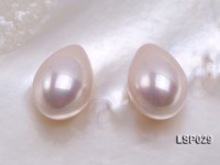 Wholesale 10X15.5mm Teardrop  Loose Seashell Pearl