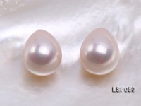 Wholesale 12×15.5mm Teardrop Loose Seashell Pearl
