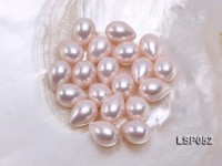 Wholesale 12x16mm Teardrop  Loose Seashell Pearl