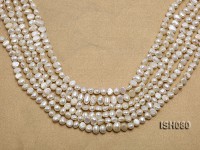 Wholesale 4x7mm Classic White Flat Freshwater Pearl String