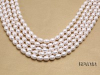 Wholesale 9.5x12mm Classic White Rice-shaped Freshwater Pearl String