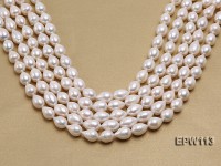 Wholesale 10x15mm White Rice-shaped Freshwater Pearl String