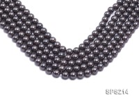 Wholesale 10mm Black Round Seashell Pearl String