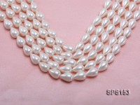 Wholesale 12x18mm White Drip-shaped Seashell Pearl String