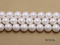 Wholesale Super-size 20mm White Round Seashell Pearl String
