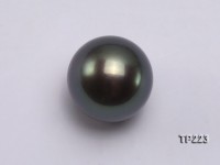Tahitian Pearl–Quality 12-13mm Round Natural Black Pearl