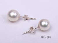7.5-8mm AAA top quality akoya pearl earrings in sterling silver
