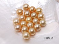 South Sea Pearl—AA-grade 14mm Round Golden South Sea Pearl