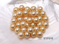 South Sea Pearl—AAA-grade 13-14mm Round Golden South Sea Pearl