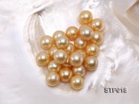 South Sea Pearl—AAA-grade 12-13mm Round Golden South Sea Pearl