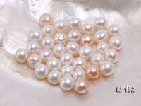 12×13.5mm Classic White Flat Loose Pearl