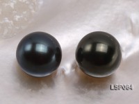 Wholesale 14.5mm Round Black Seashell Pearl Beads
