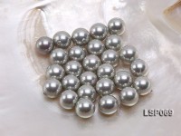 Wholesale 12-13mm Silver Grey Round Seashell Pearl Bead