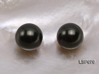 Wholesale 12-13mm Black Round Seashell Pearl Bead