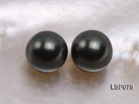 Wholesale 8.5-9mm Black Round Seashell Pearl Bead