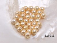 Wholesale 8.5mm Yellow Round Seashell Pearl Bead