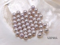 Wholesale 8.5-9mm Silver Grey Round Seashell Pearl Bead