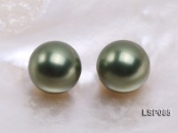 Wholesale 14-14.5mm Peacock Round Seashell Pearl Bead